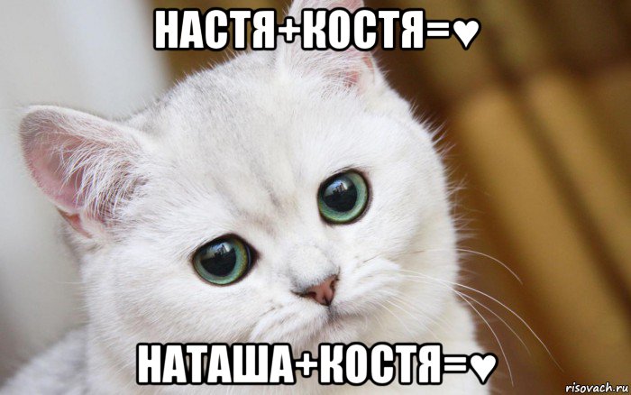 настя+костя=♥ наташа+костя=♥, Мем  В мире грустит один котик