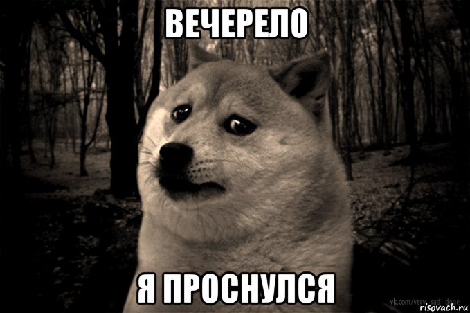 вечерело я проснулся