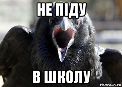 не піду в школу, Мем ворона