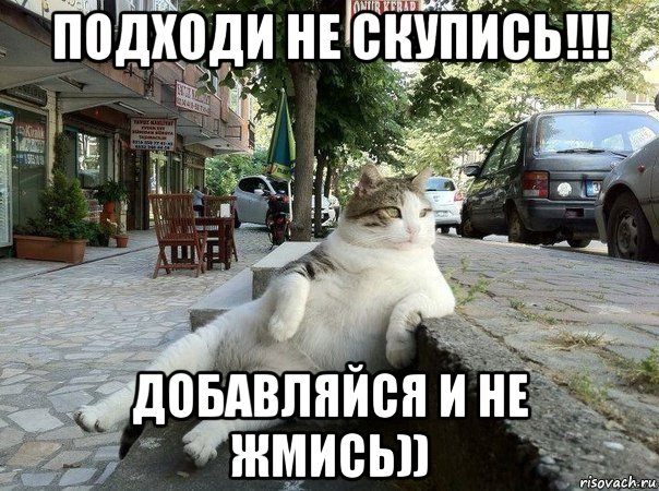 подходи не скупись!!! добавляйся и не жмись)), Мем   Все пофиг