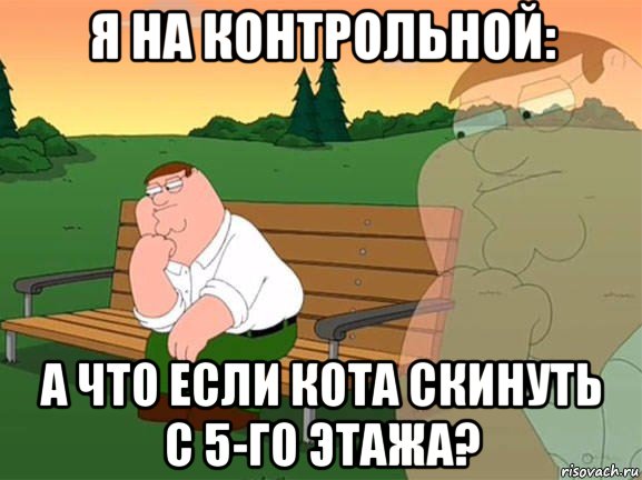 я на контрольной: а что если кота скинуть с 5-го этажа?, Мем Задумчивый Гриффин