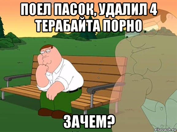 поел пасок, удалил 4 терабайта порно зачем?, Мем Задумчивый Гриффин