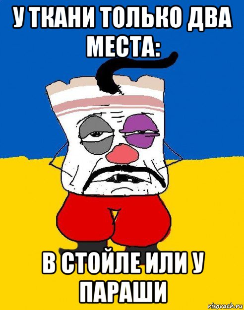 у ткани только два места: в стойле или у параши, Мем Западенец - тухлое сало