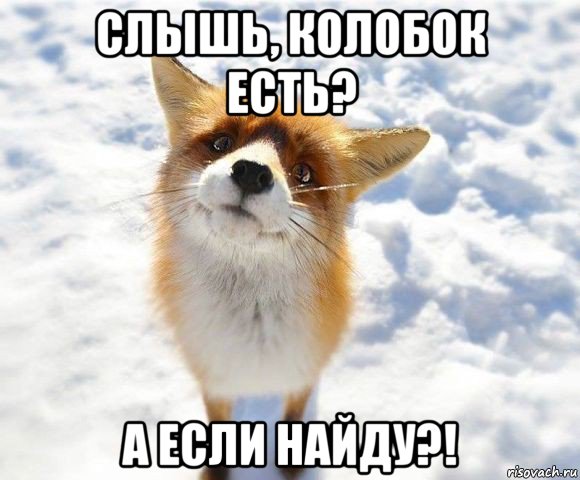 слышь, колобок есть? а если найду?!
