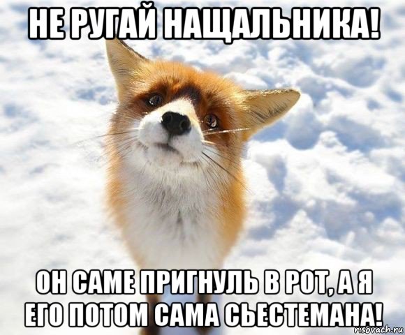 не ругай нащальника! он саме пригнуль в рот, а я его потом сама сьестемана!