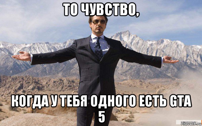 то чувство, когда у тебя одного есть gta 5, Мем железный человек