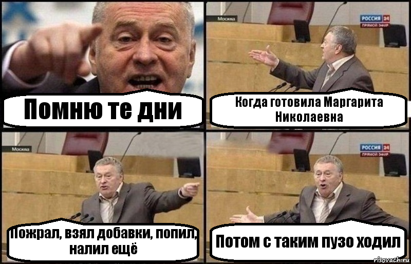 Помню те дни Когда готовила Маргарита Николаевна Пожрал, взял добавки, попил, налил ещё Потом с таким пузо ходил, Комикс Жириновский