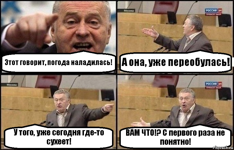 Этот говорит, погода наладилась! А она, уже переобулась! У того, уже сегодня где-то сухеет! ВАМ ЧТО!? С первого раза не понятно!, Комикс Жириновский