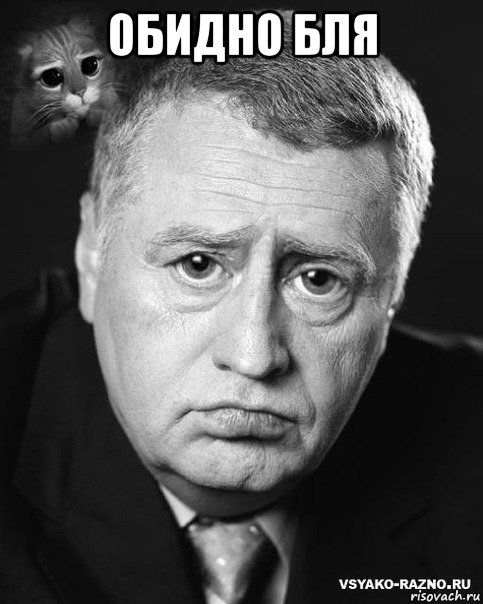 обидно бля , Мем жириновский