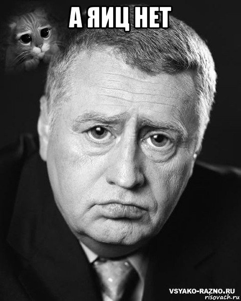 а яиц нет , Мем жириновский