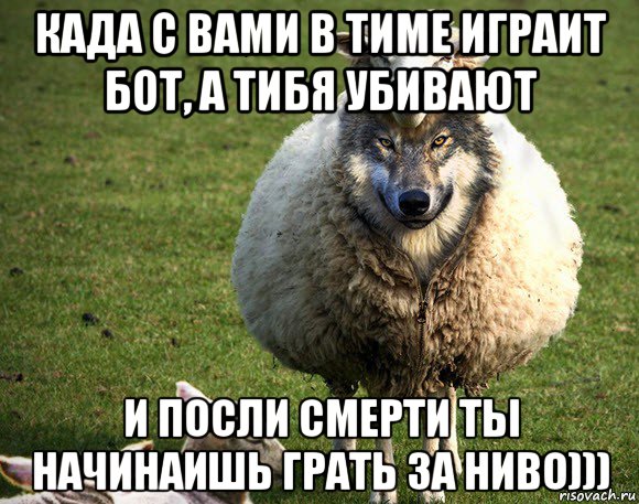 када с вами в тиме играит бот, а тибя убивают и посли смерти ты начинаишь грать за ниво))), Мем Злая Овца