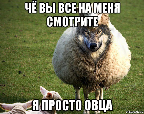 чё вы все на меня смотрите я просто овца, Мем Злая Овца