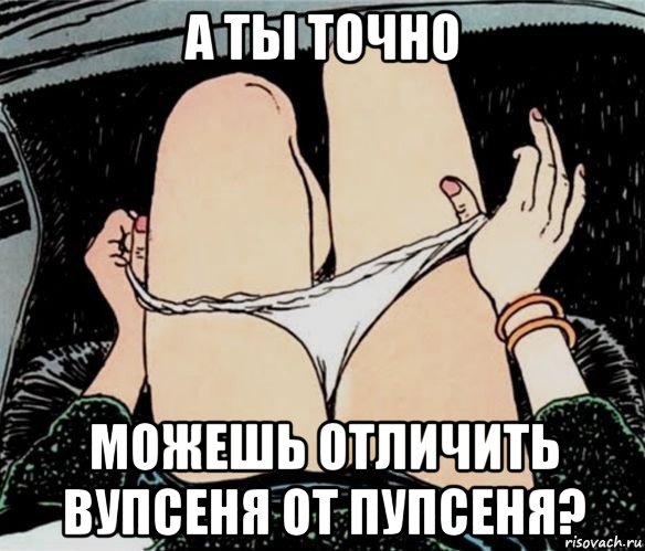 а ты точно можешь отличить вупсеня от пупсеня?, Мем А ты точно