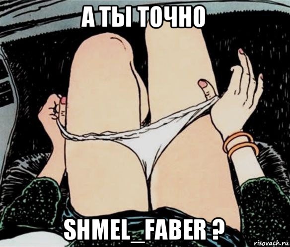 а ты точно shmel_faber ?, Мем А ты точно