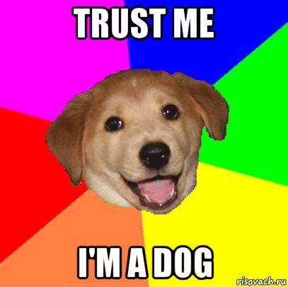 trust me i'm a dog, Мем Advice Dog