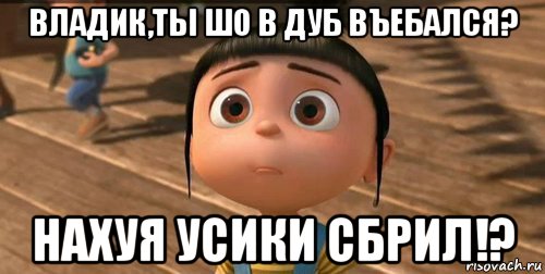 владик,ты шо в дуб въебался? нахуя усики сбрил!?, Мем    Агнес Грю