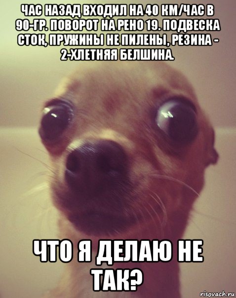 час назад входил на 40 км/час в 90-гр. поворот на рено 19. подвеска сток, пружины не пилены, резина - 2-хлетняя белшина. что я делаю не так?