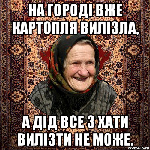 на городі вже картопля вилізла, а дід все з хати вилізти не може., Мем баба нюра