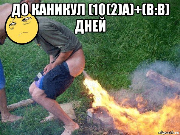 до каникул (10(2)a)+(b:b) дней 