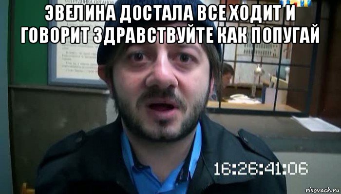 эвелина достала все ходит и говорит здравствуйте как попугай , Мем Бородач