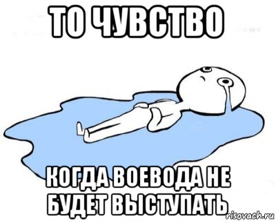 то чувство когда воевода не будет выступать, Мем   человек в луже плачет