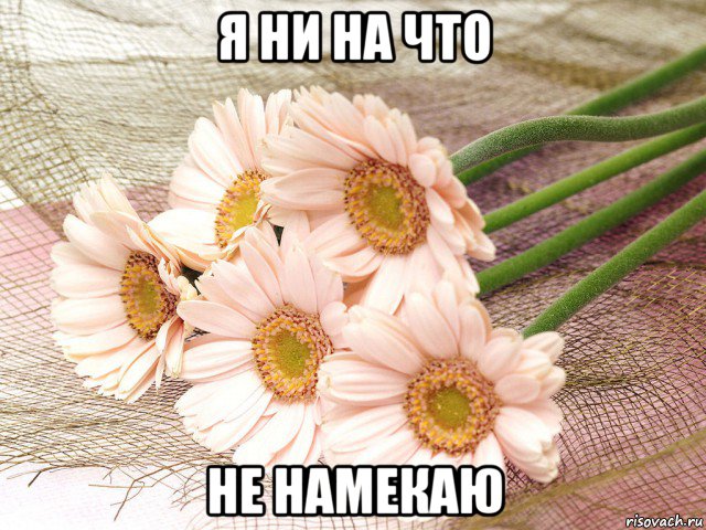 я ни на что не намекаю, Мем Цветы