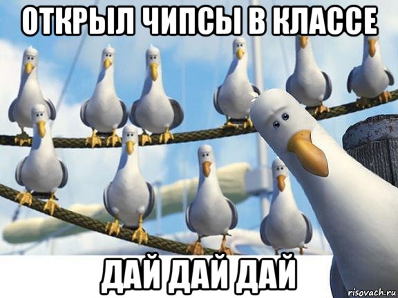 открыл чипсы в классе дай дай дай