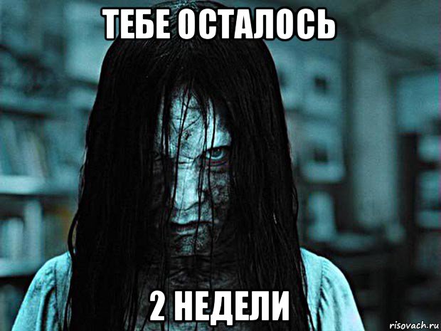тебе осталось 2 недели