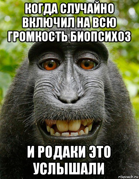 когда случайно включил на всю громкость биопсихоз и родаки это услышали, Мем  Довольная обезьяна