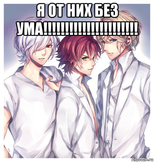 я от них без ума!!!!!!!!!!!!!!!!!!!!!! 