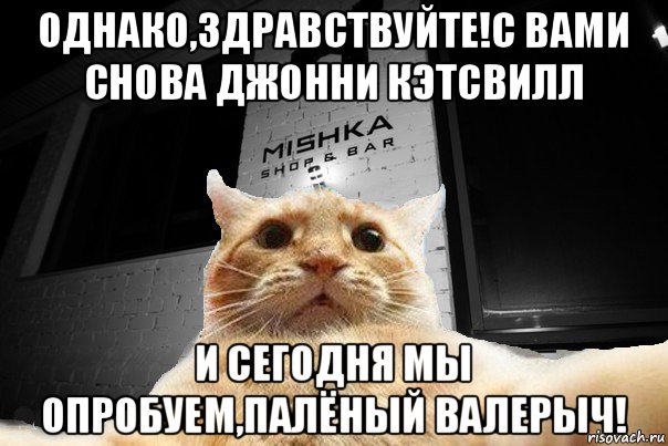 однако,здравствуйте!с вами снова джонни кэтсвилл и сегодня мы опробуем,палёный валерыч!, Мем   Джонни Кэтсвилл