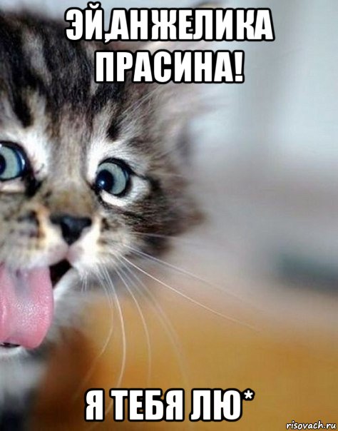 эй,анжелика прасина! я тебя лю*