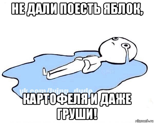 не дали поесть яблок, картофеля и даже груши!, Мем Этот момент когда