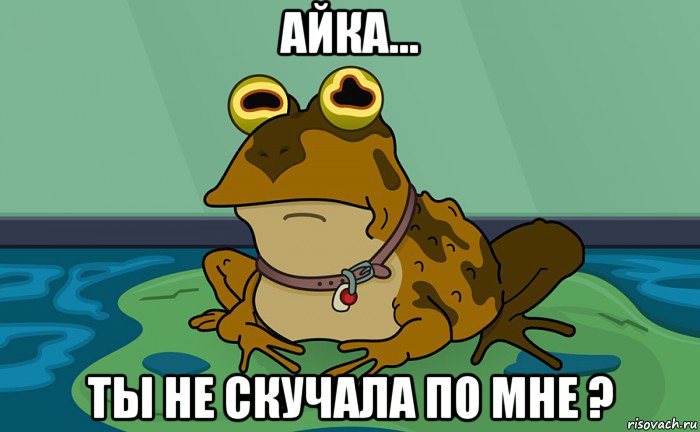айка... ты не скучала по мне ?
