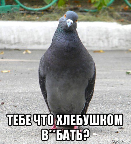 тебе что хлебушком в**бать?