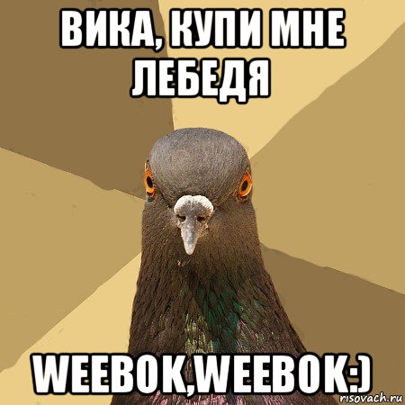 вика, купи мне лебедя weebok,weebok:), Мем голубь