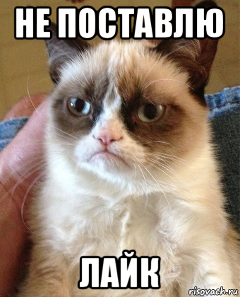 не поставлю лайк, Мем Grumpy Cat small