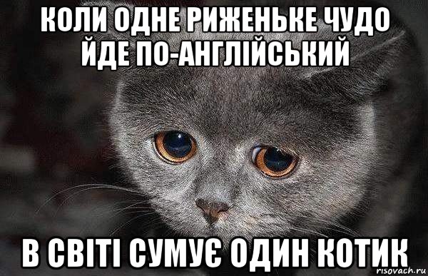 коли одне риженьке чудо йде по-англійський в світі сумує один котик, Мем  Грустный кот