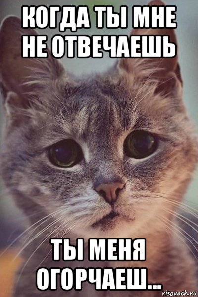 когда ты мне не отвечаешь ты меня огорчаеш...