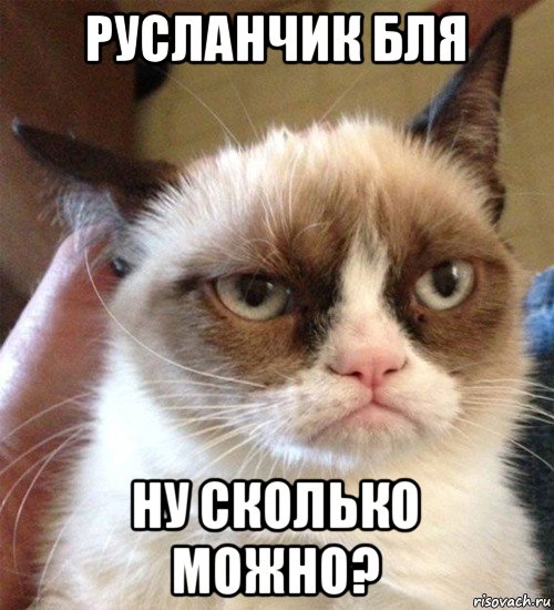 русланчик бля ну сколько можно?, Мем Грустный (сварливый) кот