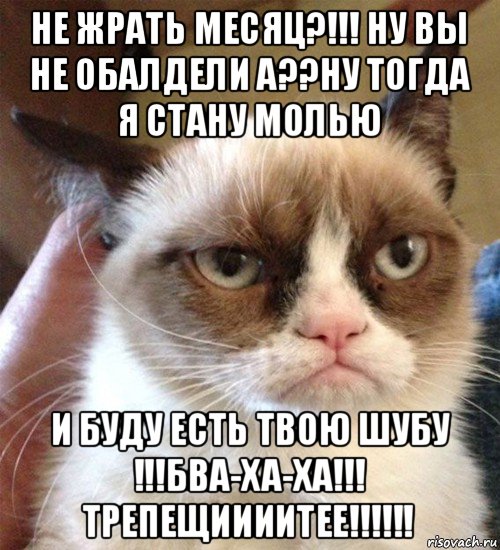 не жрать месяц?!!! ну вы не обалдели а??ну тогда я стану молью и буду есть твою шубу !!!бва-ха-ха!!! трепещиииитее!!!!!!, Мем Грустный (сварливый) кот