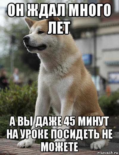 он ждал много лет а вы даже 45 минут на уроке посидеть не можете, Мем  Хатико ждет