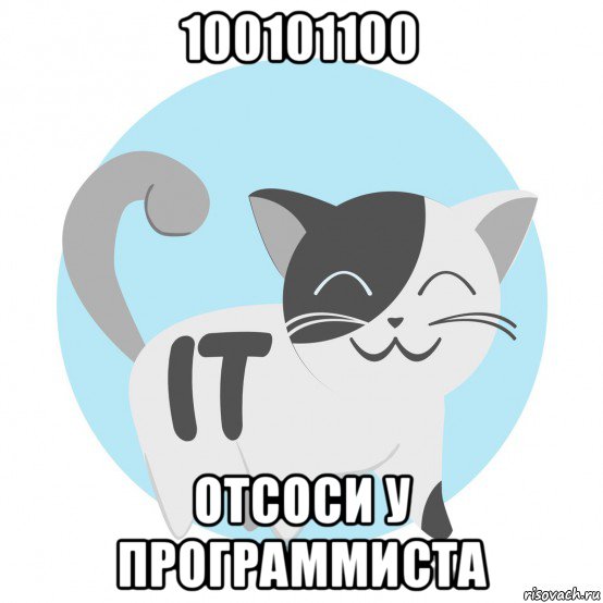 100101100 отсоси у программиста