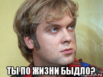  ты по жизни быдло?