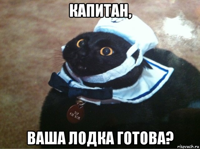 капитан, ваша лодка готова?, Мем Капитан лодка