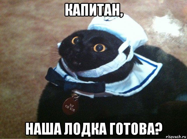 капитан, наша лодка готова?, Мем Капитан лодка
