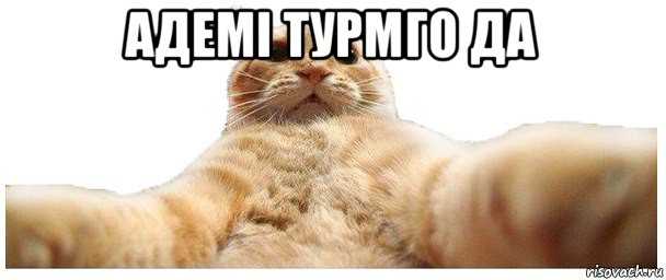 адемі турмго да , Мем   Кэтсвилл