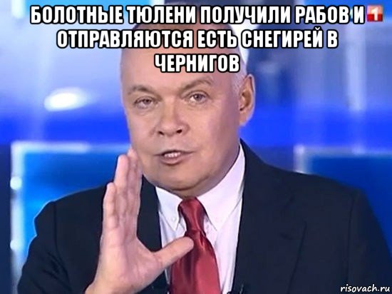 болотные тюлени получили рабов и отправляются есть снегирей в чернигов , Мем Киселёв 2014