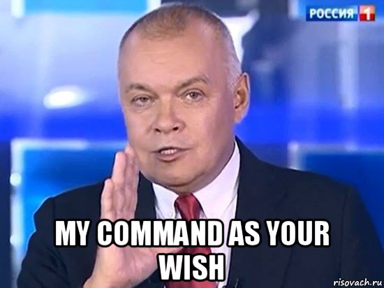  my command as your wish, Мем Киселёв 2014