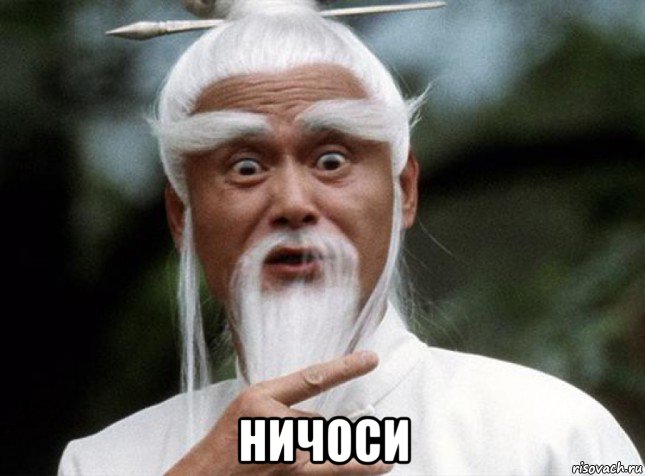  ничоси